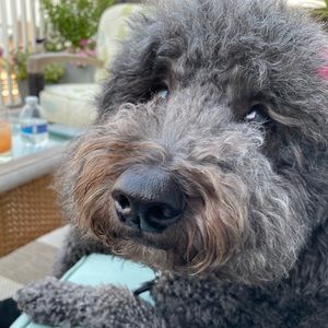 Meet your Posher, Brooke